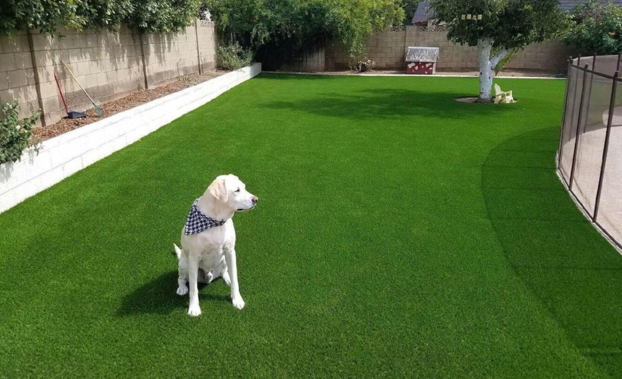 Happy dog playing on artificial pet turf in Pittsburg backyard with excellent drainage